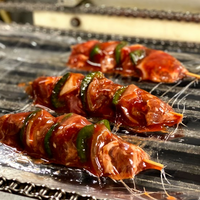 Filet Mignon & Chicken Kabobs with Luau Sauce - Combo Pack