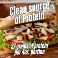 Grilled Boneless Chicken Breasts - PLAIN